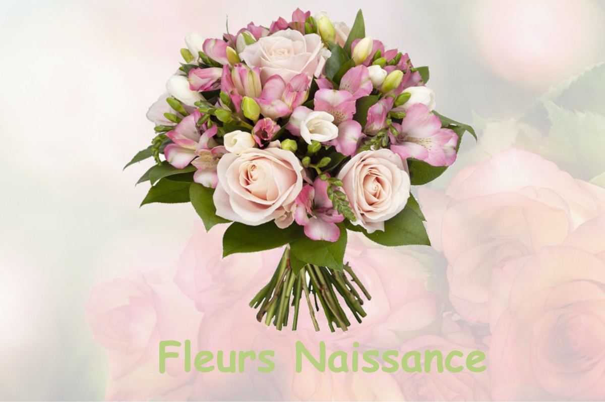 fleurs naissance SAINT-QUENTIN-LA-MOTTE-CROIX-AU-BAILLY